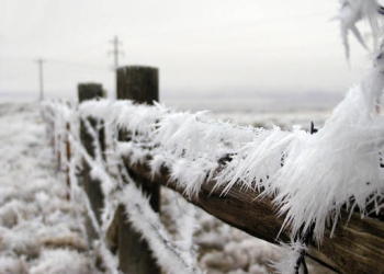 Ger năpraznic! Temperaturile vor scădea până la minus 20 de grade Celsius