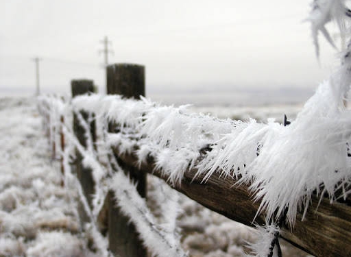 Ger năpraznic! Temperaturile vor scădea până la minus 20 de grade Celsius