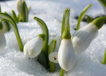 Cum va fi vremea în weekend