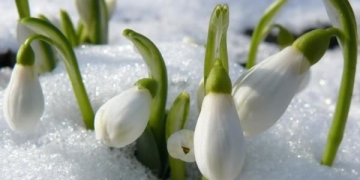 Cum va fi vremea în weekend