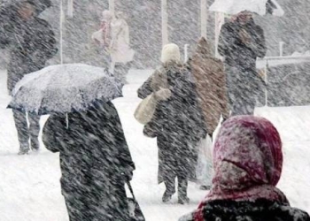 Ninsori și vreme rea în Timiș