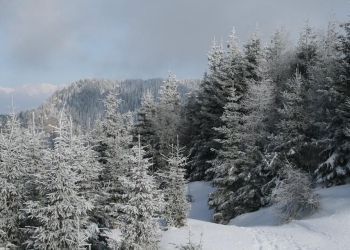 VIDEO Imagini spectaculoase din Parcul Național Piatra Craiului