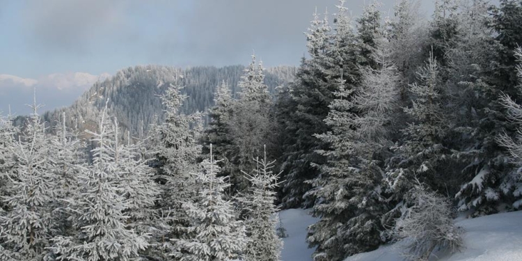 VIDEO Imagini spectaculoase din Parcul Național Piatra Craiului