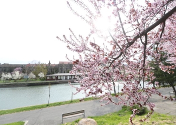 Cum va fi vremea în weekend