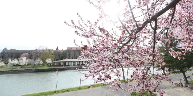 Cum va fi vremea în weekend