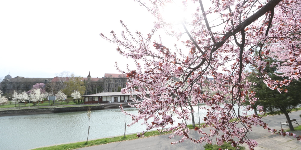 Legendarul vapor Pelican se reîntoarce pe Bega