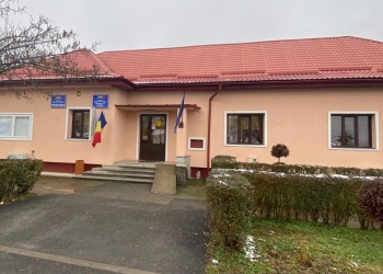 Locuitorii din Remetea Mare vor avea transport public până la Timișoara