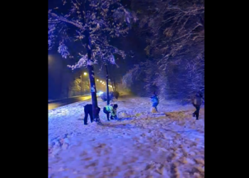 VIDEO Doi polițiști din Sibiu s-au luat la bătaie cu bulgări de zăpadă cu doi copii