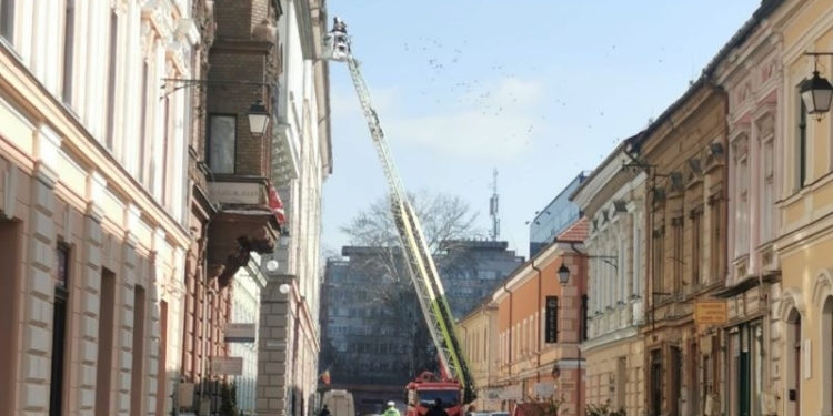 Autoscară a ISU Timiș pusă la treabă. Intervenție ”la înălțime” a pompierilor timișeni
