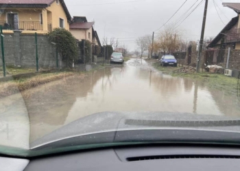 Noroaiele au invadat zona periurbană a Timișoarei. Revoltă în online a locuitorilor din Moșnița și Sânmihaiu