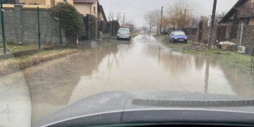 Noroaiele au invadat zona periurbană a Timișoarei. Revoltă în online a locuitorilor din Moșnița și Sânmihaiu