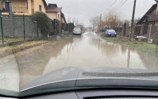 Noroaiele au invadat zona periurbană a Timișoarei. Revoltă în online a locuitorilor din Moșnița și Sânmihaiu