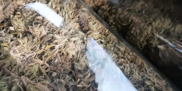 Ciobani din Timiș reținuți pentru trafic de droguri