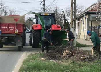 Începe curățenia de primăvară la Moșnița Nouă