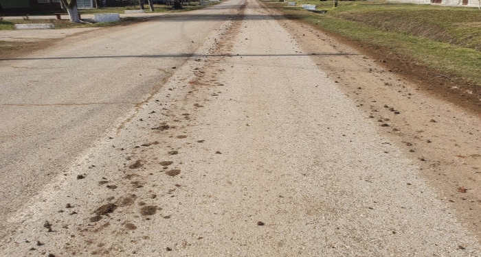 Murdărești asfaltul, plătești. Se întâmplă la Giarmata