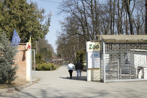 Zoo Timișoara s-ar putea redeschide în 2023. Unde ajung animalele