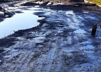 Strada Grigore Alexandrescu lăsată în paragină de Primăria Timișoara