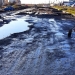 Strada Grigore Alexandrescu lăsată în paragină de Primăria Timișoara