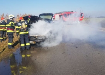 VIDEO S-a făcut scrum pe DN 59C, lângă localitatea Nerău