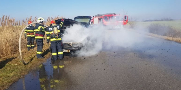 VIDEO S-a făcut scrum pe DN 59C, lângă localitatea Nerău