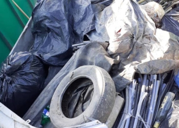 Acțiune de ecologizare la Moșnița Veche