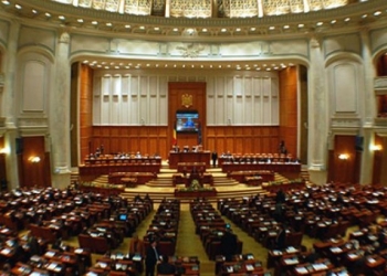 Deputat de Timiș: ”Citesc atunci când spăl vase”