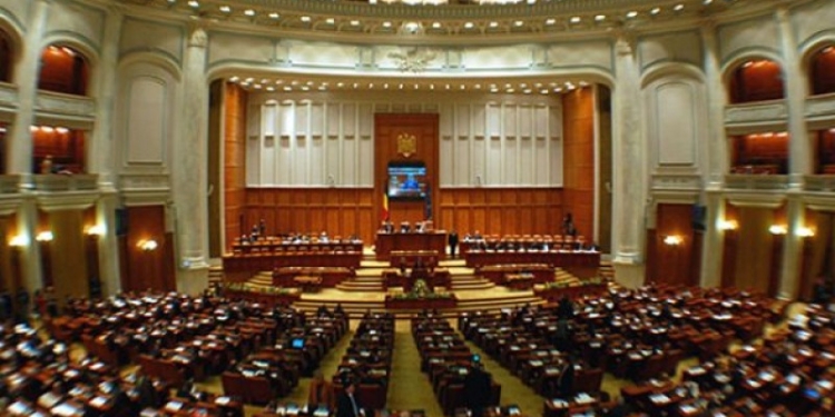 Deputat de Timiș: ”Citesc atunci când spăl vase”