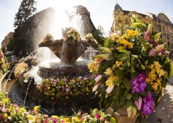 Adio, Timfloralis? Fritz: Nu văd cum să-l mai finanțăm