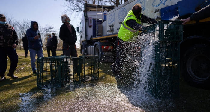Vești bune pentru pescari! Bălțile orașului Jimbolia au fost populate cu crap