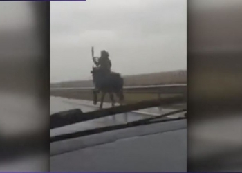 VIDEO Un bărbat a fost filmat de un șofer în timp ce gonea călare, pe un drum european. Haiducul este căutat de poliție
