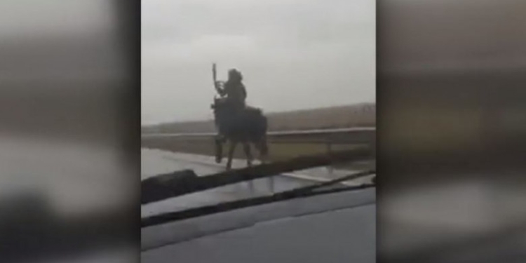 VIDEO Un bărbat a fost filmat de un șofer în timp ce gonea călare, pe un drum european. Haiducul este căutat de poliție