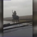 VIDEO Un bărbat a fost filmat de un șofer în timp ce gonea călare, pe un drum european. Haiducul este căutat de poliție