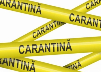 Carantină chiar și 21 de zile în Timișoara