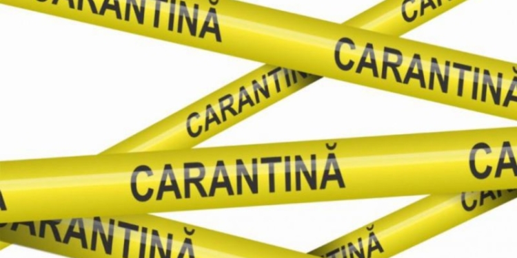Carantină chiar și 21 de zile în Timișoara