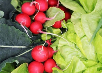 Este scumpă sau ieftină piața online? Ouă – 0.9lei/buc – prețurile produselor locale din mediul online