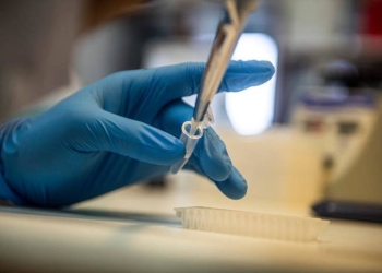 Timiș: 376 infectări noi cu Covid-19, din care 236 în Timișoara