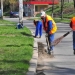 Horticultura a început curățenia de primăvară
