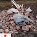 Amendă de 30.000 lei și autoutilitară confiscată pentru deșeuri abandonate pe domeniul public la Săcălaz