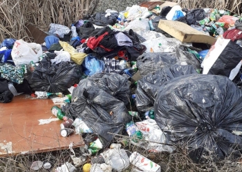 Arunci gunoaiele pe domeniul public, plătești. Primăria Giarmata dă noi amenzi