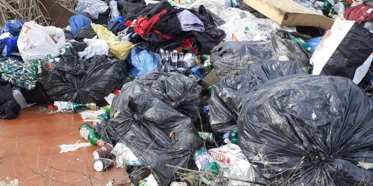 Arunci gunoaiele pe domeniul public, plătești. Primăria Giarmata dă noi amenzi