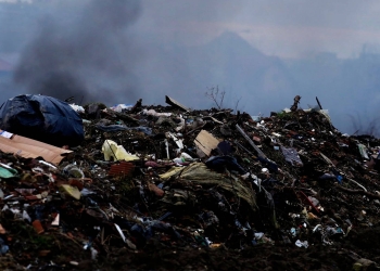 Ridicarea a 100 de tone de gunoaie a costat Primăria Timișoara peste 200.000 de lei