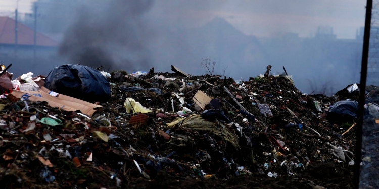 Ridicarea a 100 de tone de gunoaie a costat Primăria Timișoara peste 200.000 de lei