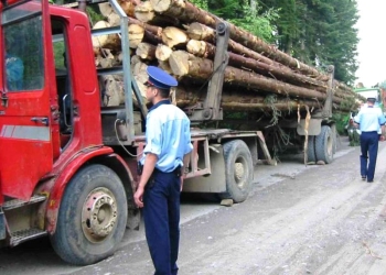 Pădurarii din Timiș au fost instruiți cum să folosească SUMAL 2.0