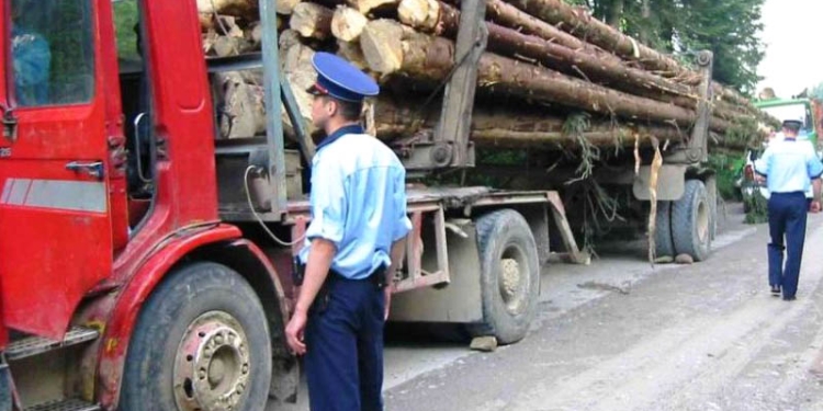 Pădurarii din Timiș au fost instruiți cum să folosească SUMAL 2.0