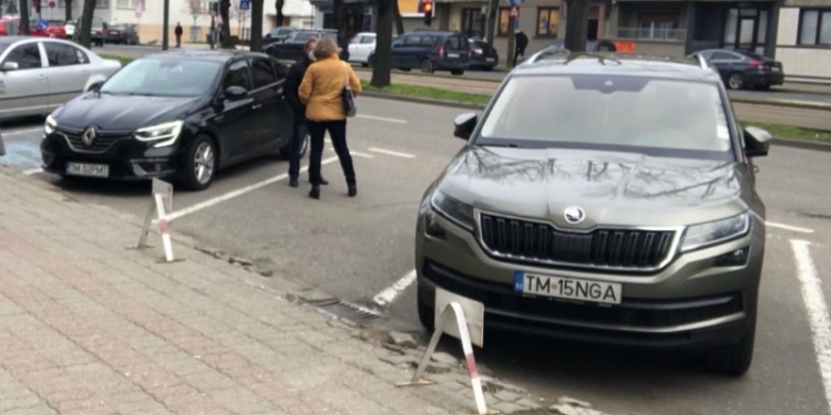 Întâlnire de gradul zero la Consiliul Județean Timiș între Alin Nica și Dominic Fritz? Totul a fost o înțelegere?