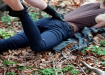 Un violator din Timiș, urmărit internațional, prins de polițiști