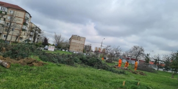 Ciopârțirea spațiilor verzi și a copacilor din Timișoara continuă și după ”epoca Robu”. Explicațiile actualei administrații: ”greaua moștenire”