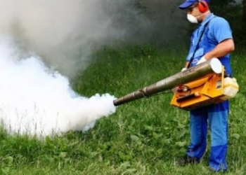 Dezinsecție și deratizare în Timișoara, în luna aprilie