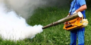 Dezinsecție și deratizare în Timișoara, în luna aprilie