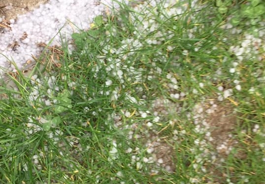 Capriciile vremii! Grindină în Timiș la final de aprilie